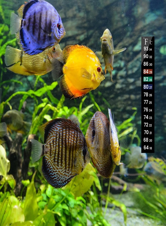 AQUANEAT مجموعة أكوانيت من 6 شرائط ترمومتر لأحواض السمك، ملصق ترمومتر لحوض السمك، اختبار درجة حرارة ماء التيراريوم (5.13 بوصة × 0.71 بوصة) - Image 5